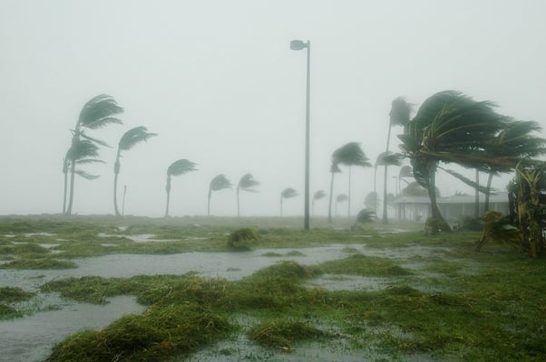 hurricane Event Safety Emergency Plan
