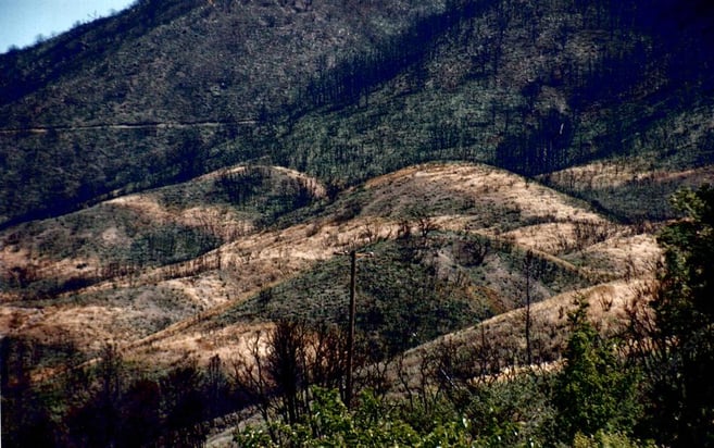 post-fire-seeding